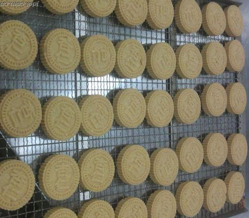 炒米饼机厂家直销自动成型一体机供应商